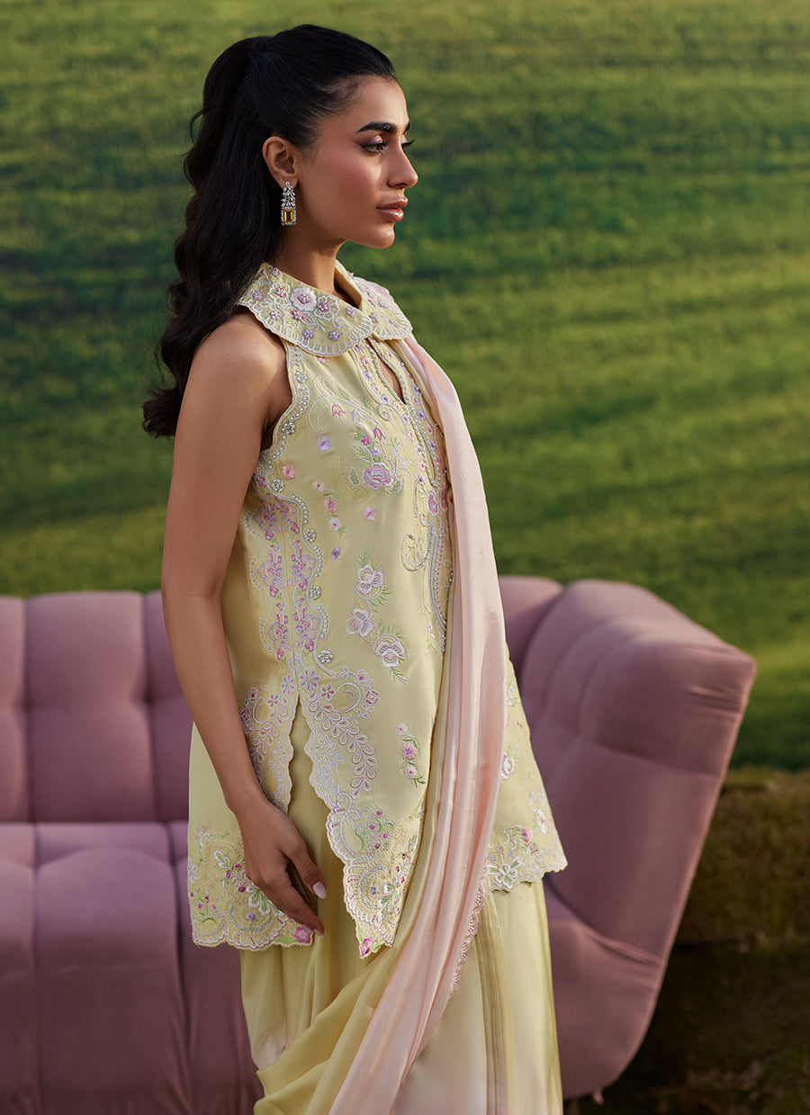 Esma Shirt And Saree