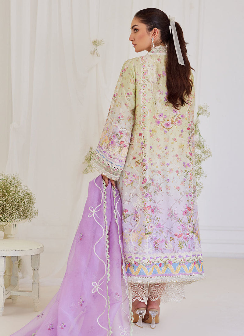 Renata Embroidered Organza Dupatta