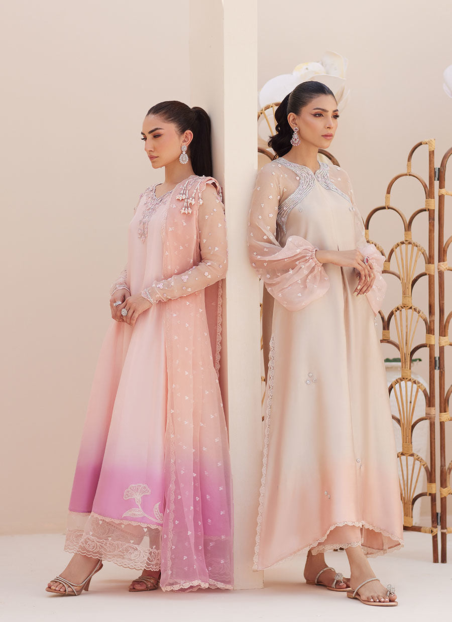 Deedee Pink Ombre Paneled Shirt Dupatta and Pants