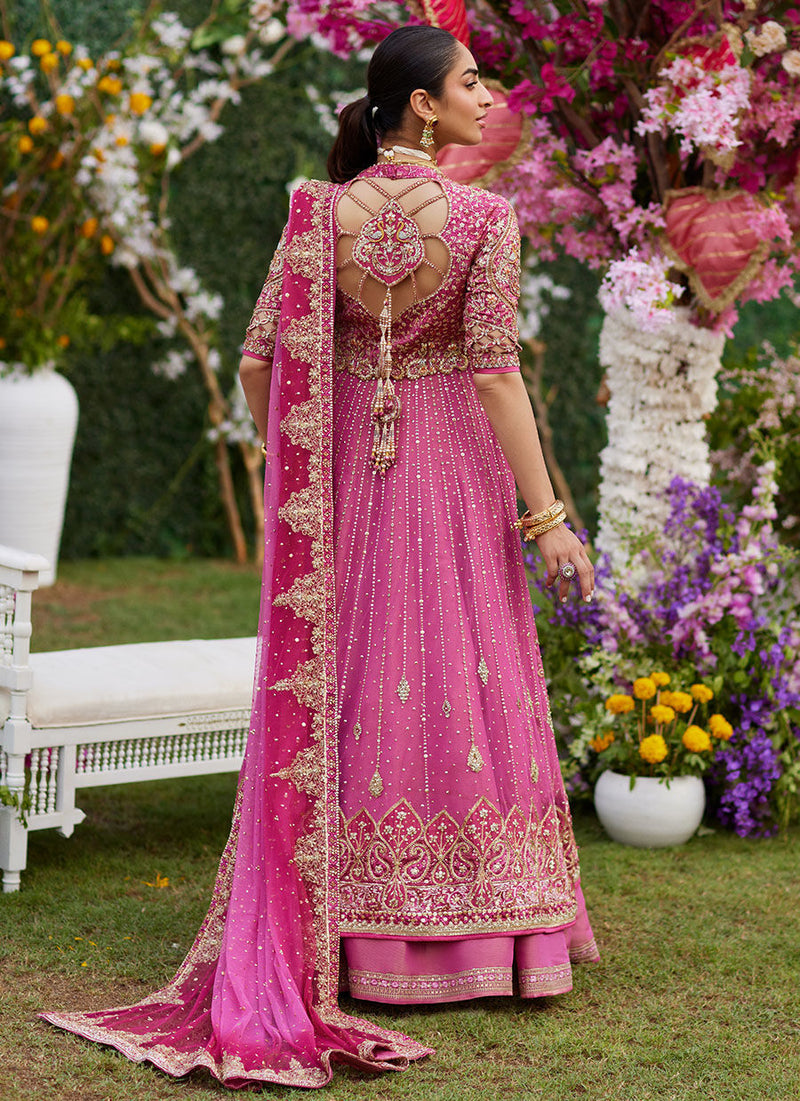 Inara Candy Pink Kalidaar