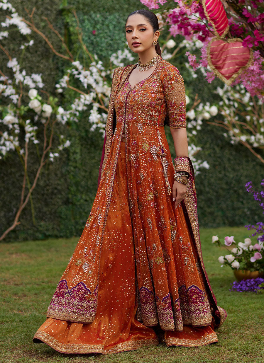 Mireya Burnt Orange Kalidaar