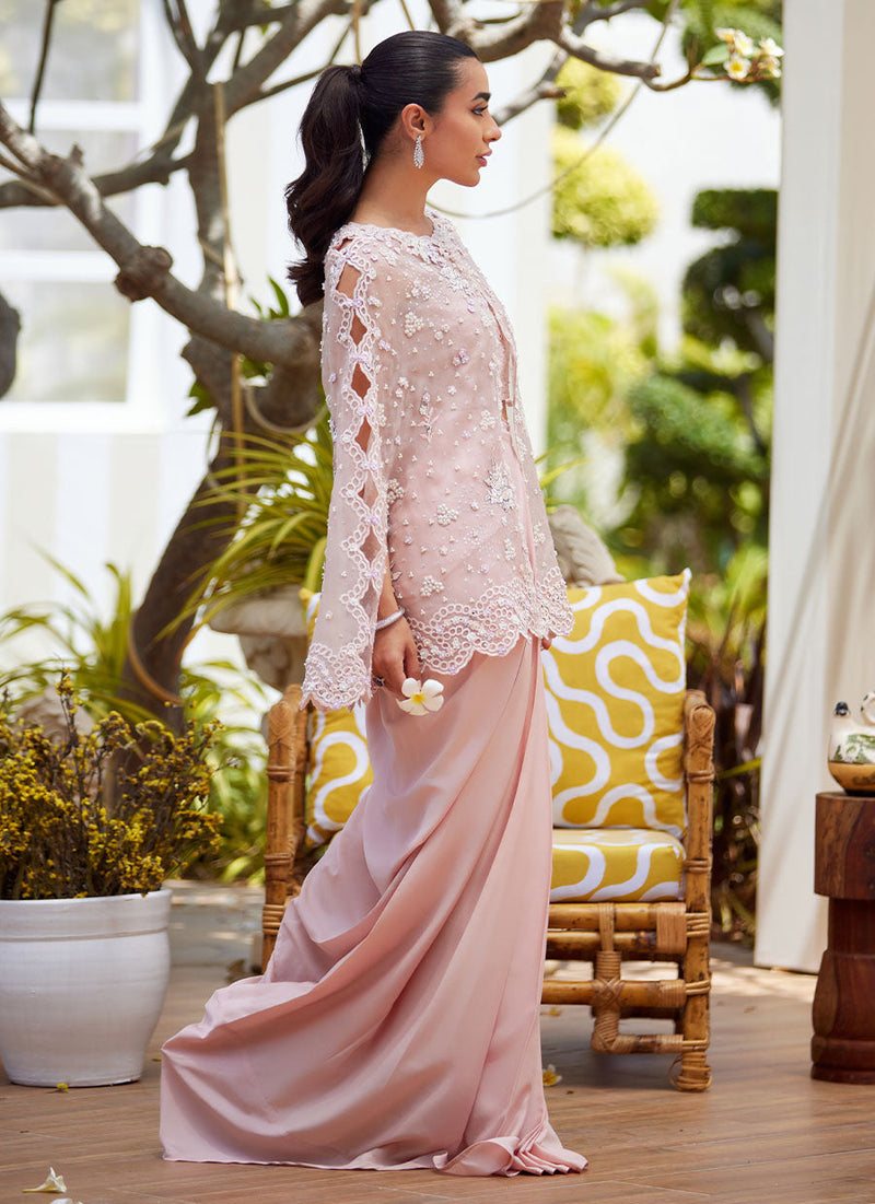 Cari Organza Cape and Pre-Drape Sari Skirt