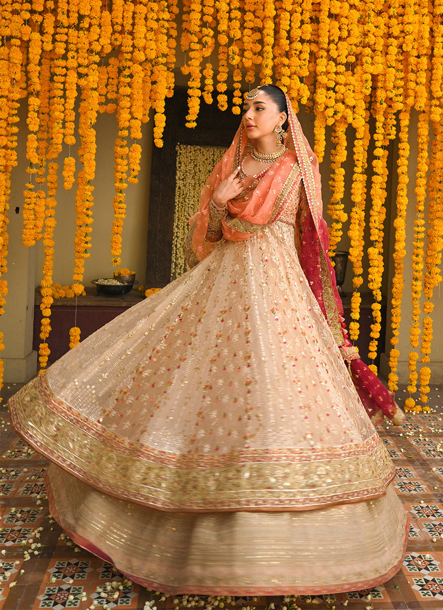 Ariella gold and coral kalidaar