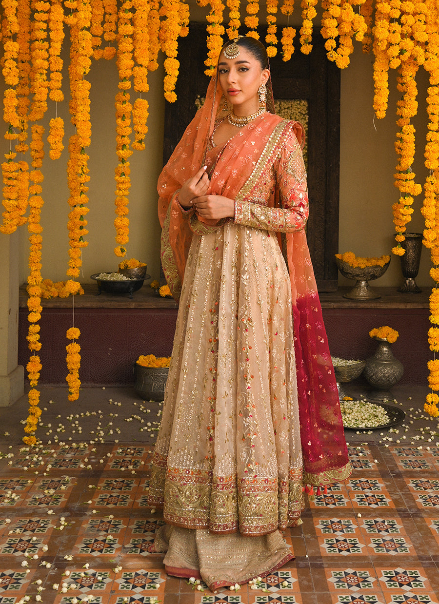 Ariella gold and coral kalidaar