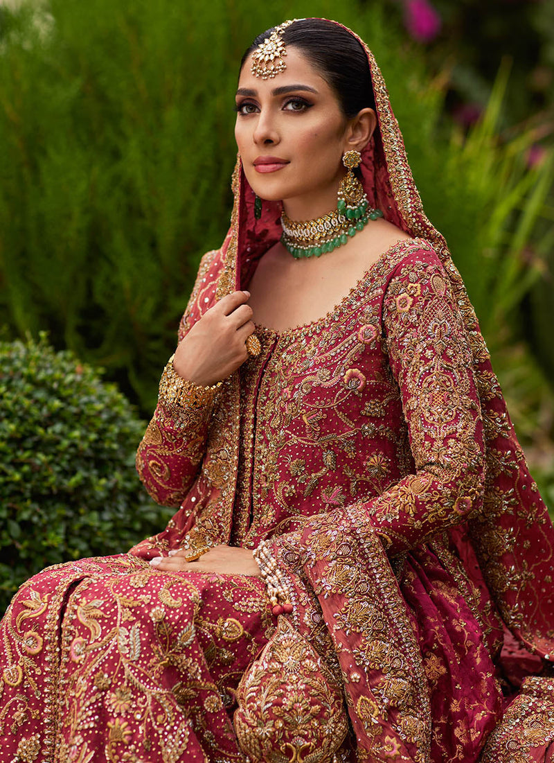 Dil Ras Panelled Farshi Bridal