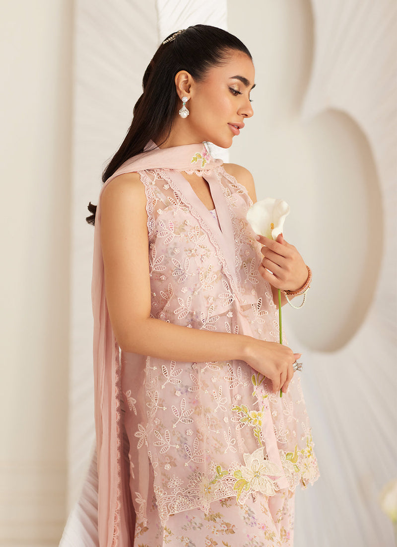 Kyma Blush Organza Jacket and Dupatta