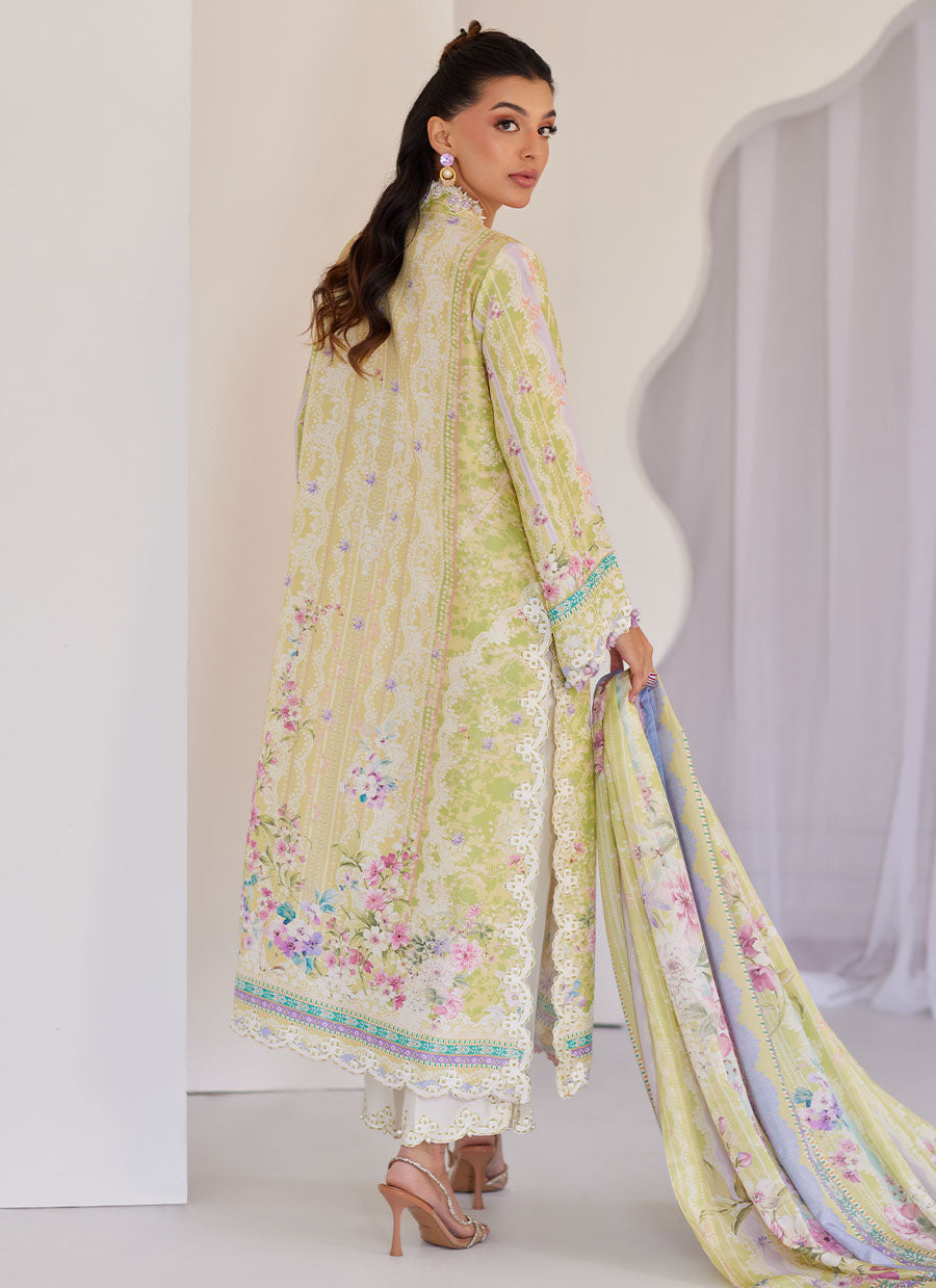 Elowyn Kiwi Shirt and Dupatta
