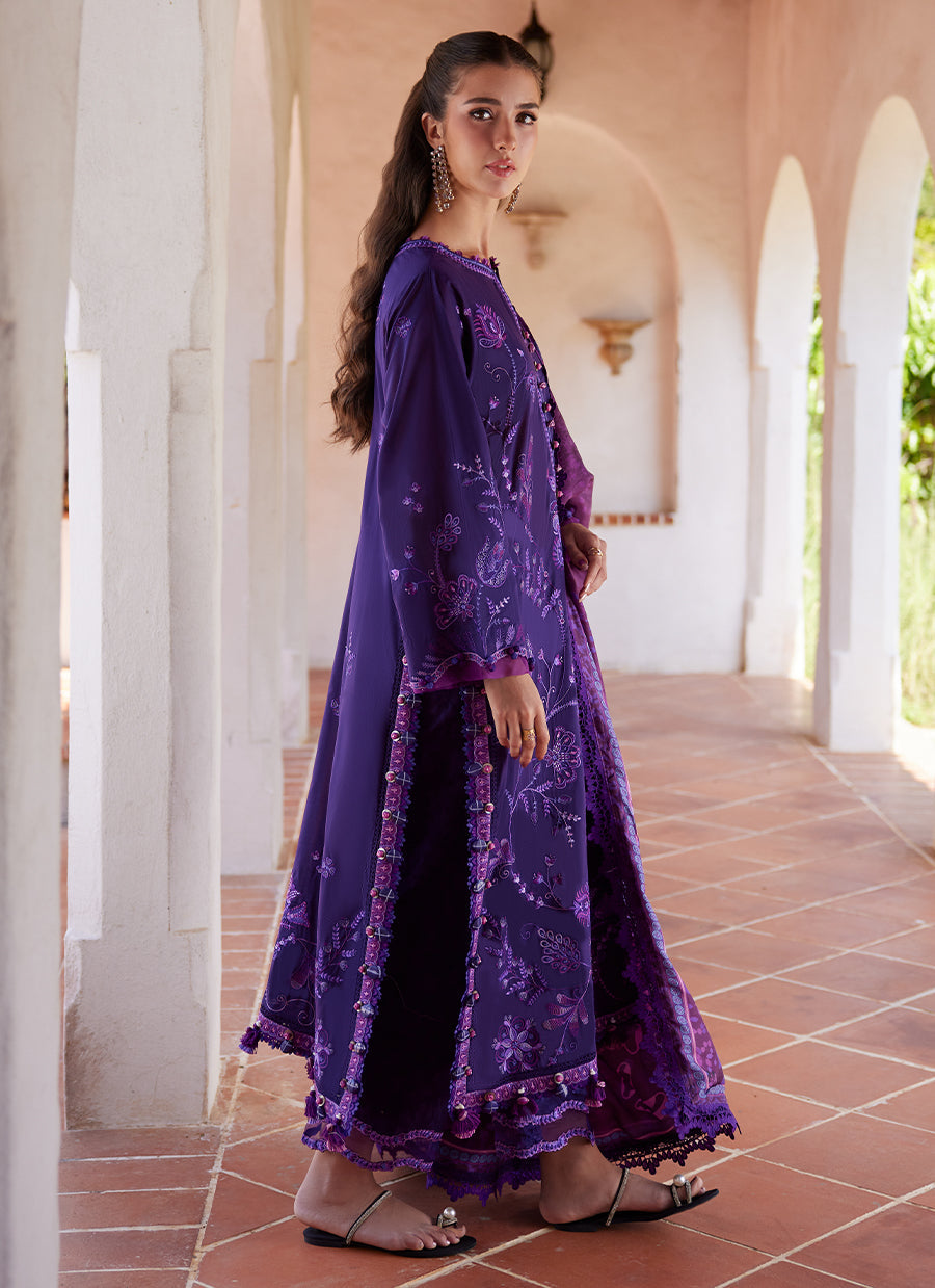 Vicenta Violet