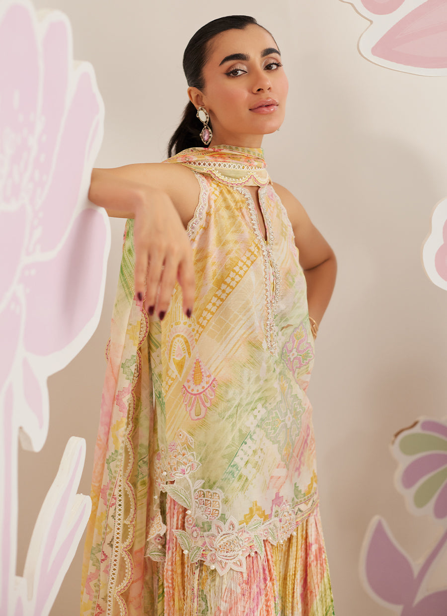 Elysia Shirt and Dupatta