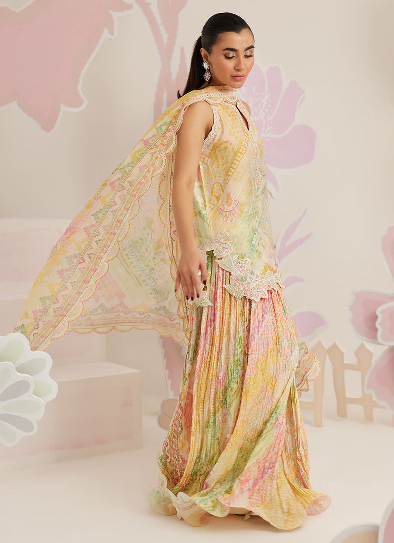 Elysia Shirt and Dupatta