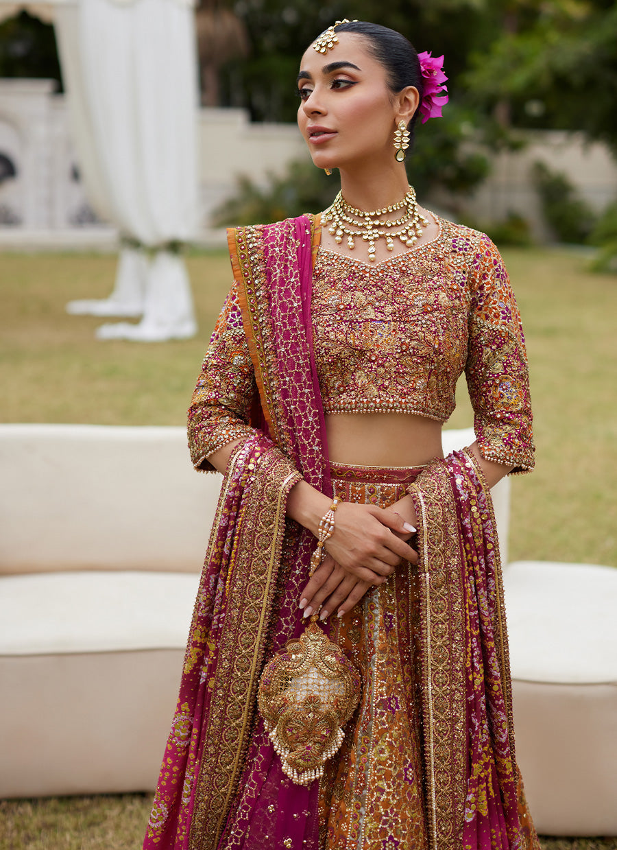 Raina Rust Lehnga Choli